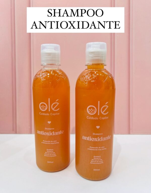 SHAMPOO ANTIOXIDANTE