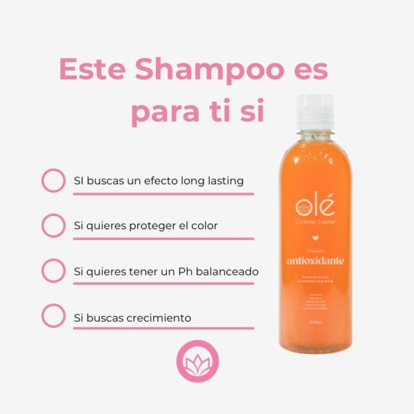 SHAMPOO ANTIOXIDANTE